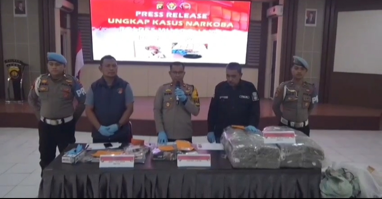 Satresnarkoba Muaro Jambi Berhasil Aman 30 Kilogram Ganja Siap Edar