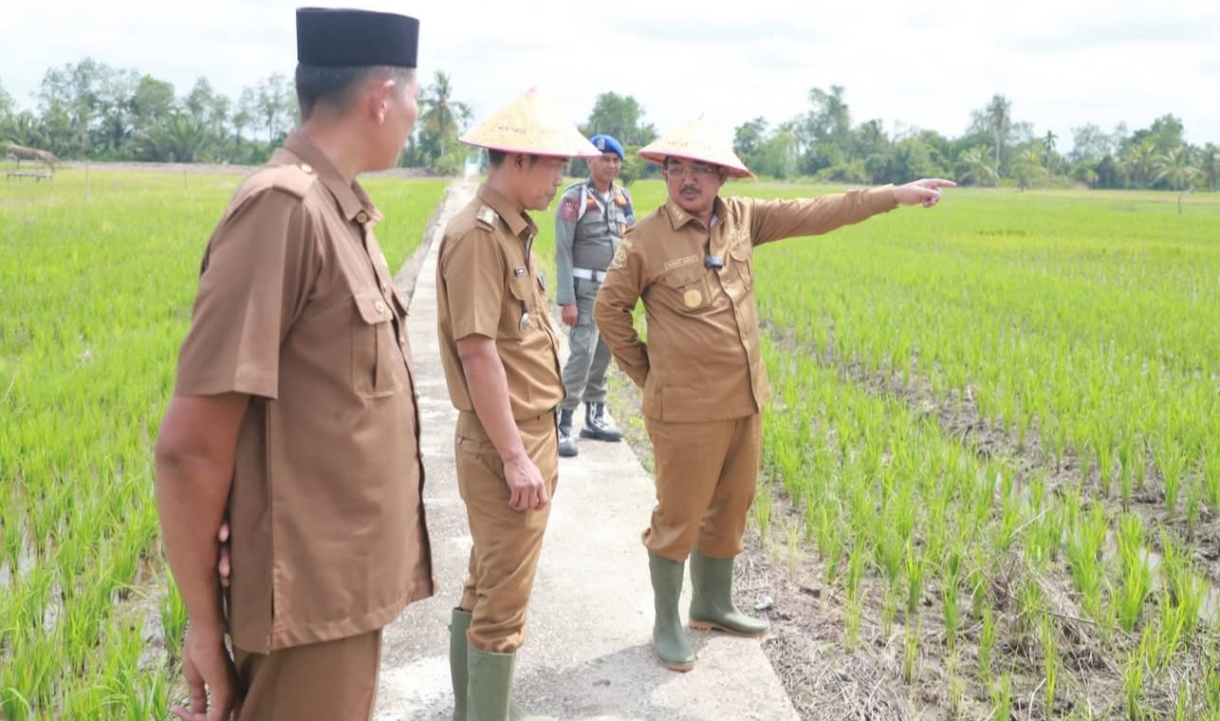 Tanam Padi Serentak & Kelompencapir Reborn 2025: Tanjab Barat Gaspol Wujudkan Ketahanan Pangan