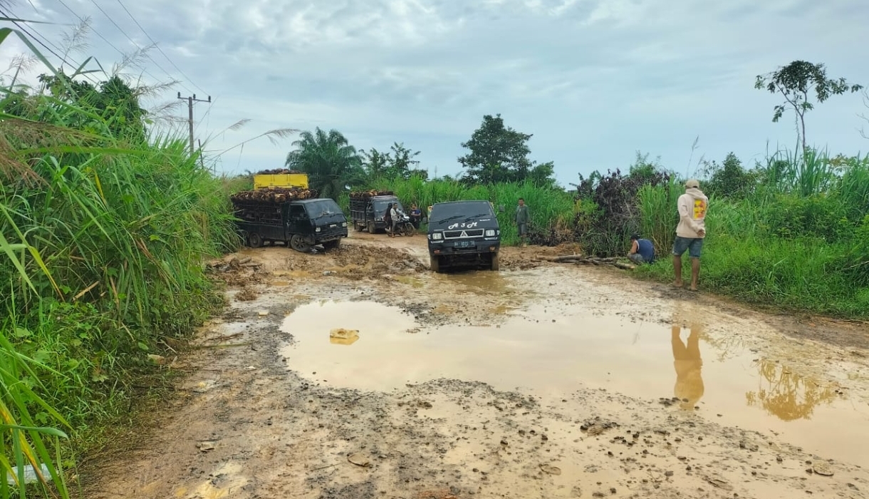 Anggota DPRD Muaro Jambi Bustomi, Soroti Status Jalan Provinsi Di Kumpeh Ilir 